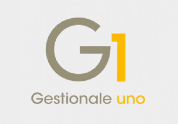 Gestionale 1